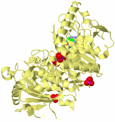 Image Biological Unit 4