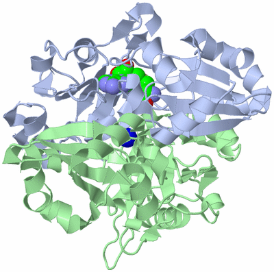 Image Asym./Biol. Unit