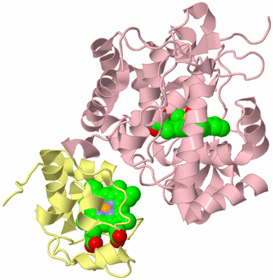 Image Biological Unit 2