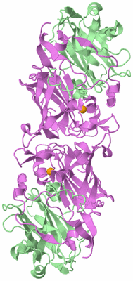 Image Biological Unit 10