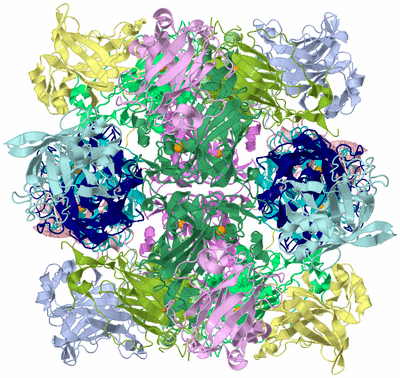 Image Biological Unit 7