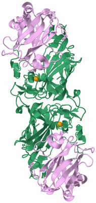 Image Biological Unit 8