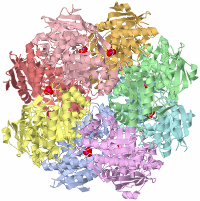 Image Asym./Biol. Unit