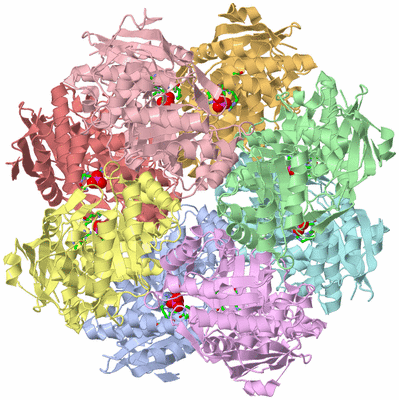 Image Asym./Biol. Unit - sites