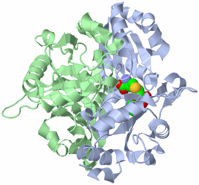 Image Asym./Biol. Unit