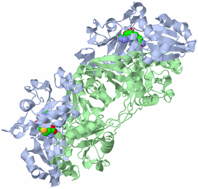 Image Biological Unit 2