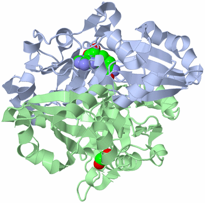 Image Biological Unit 1