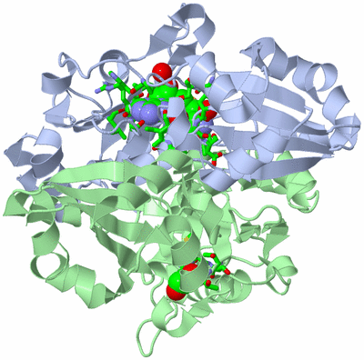 Image Biol. Unit 1 - sites