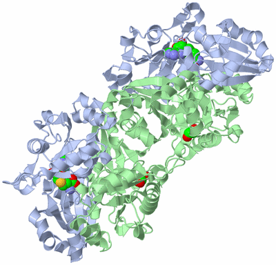 Image Biological Unit 2