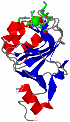 Image Asym. Unit - sites