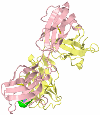 Image Biological Unit 2