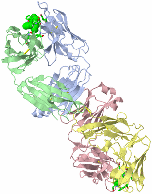 Image Asym. Unit - sites