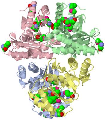 Image Asym./Biol. Unit