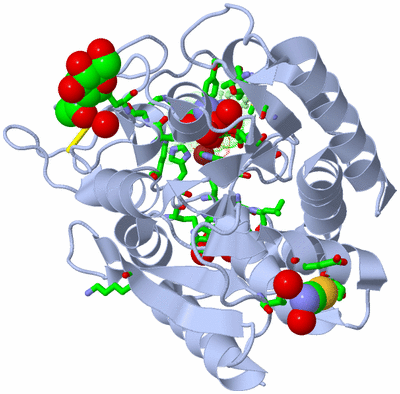 Image Asym./Biol. Unit - sites