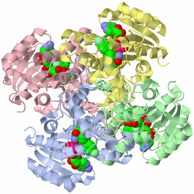 Image Asym./Biol. Unit