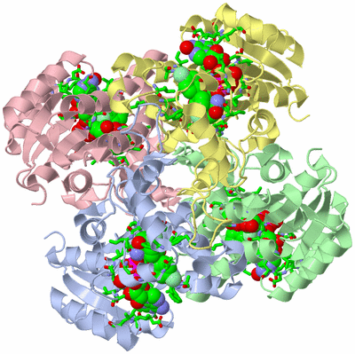 Image Asym./Biol. Unit - sites