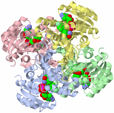 Image Asym./Biol. Unit