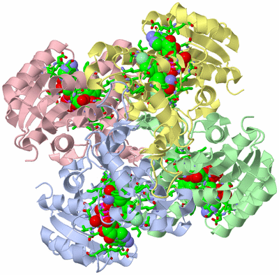 Image Asym./Biol. Unit - sites