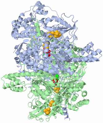 Image Asym./Biol. Unit