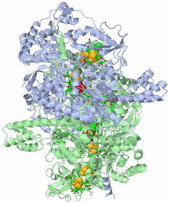 Image Asym./Biol. Unit - sites