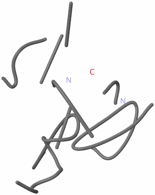 Image NMR Structure - model 1