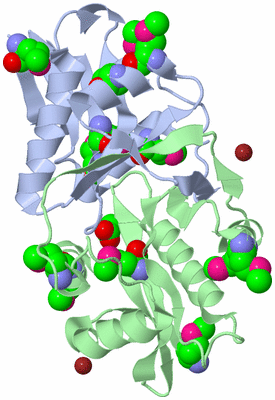 Image Biological Unit 1