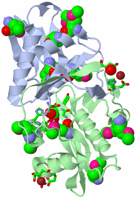 Image Biol. Unit 1 - sites