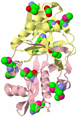 Image Biological Unit 2