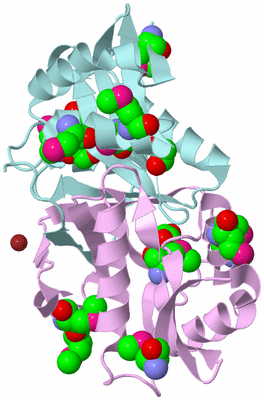 Image Biological Unit 3