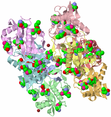 Image Biological Unit 5