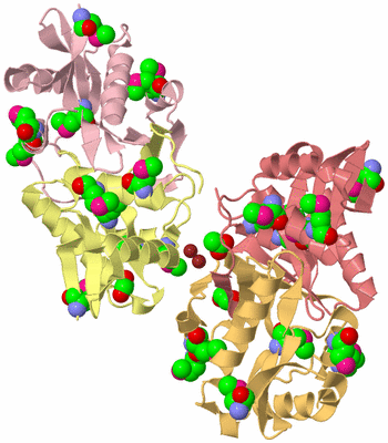 Image Biological Unit 6