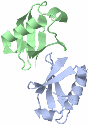 Image NMR Structure - model 1