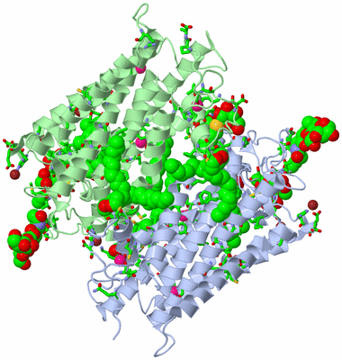 Image Biol. Unit 1 - sites