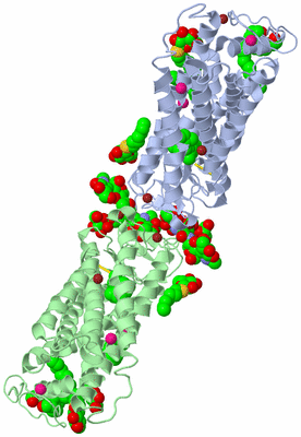 Image Biological Unit 2