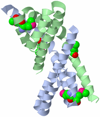 Image Biological Unit 1