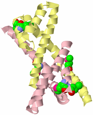 Image Biological Unit 2