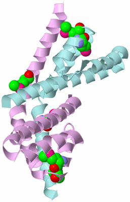 Image Biological Unit 3