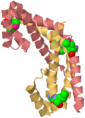 Image Biological Unit 4