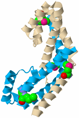 Image Biological Unit 5