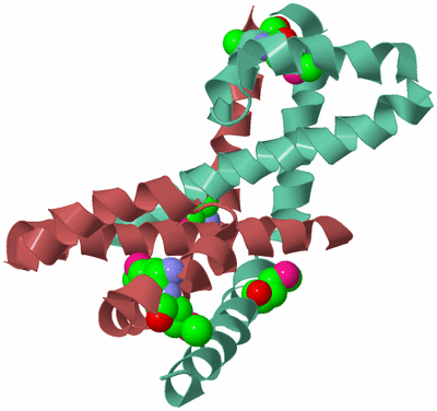 Image Biological Unit 6