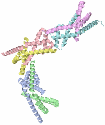 Image Asymmetric Unit