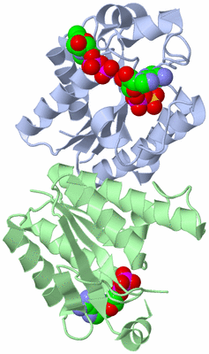 Image Asym./Biol. Unit