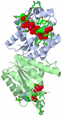 Image Asym./Biol. Unit - sites