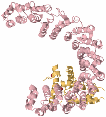 Image Biological Unit 3