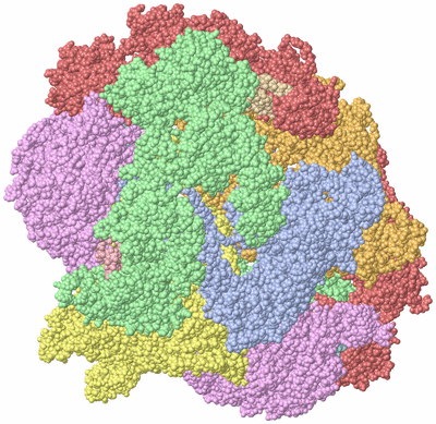 Image Biological Unit 1