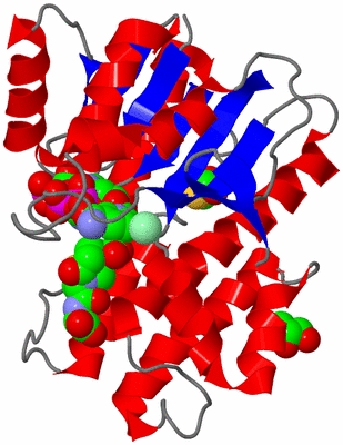 Image Asym./Biol. Unit