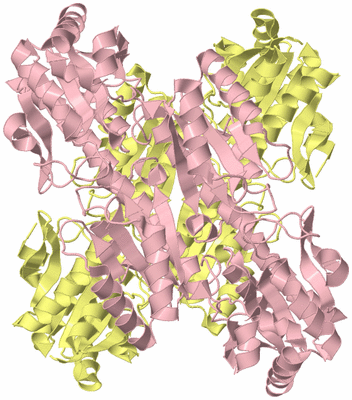 Image Biological Unit 2