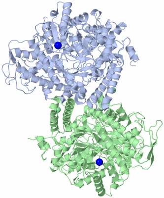 Image Asym./Biol. Unit