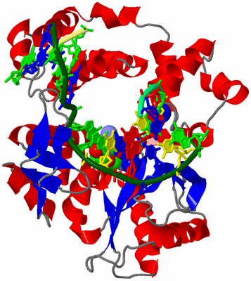 Image Asym./Biol. Unit