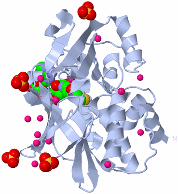 Image Biological Unit 1